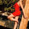 Ts Kamilla