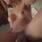 Nathalia