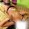 Angel thai massage