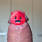 Johan