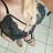 lorena