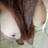 lorena