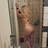 Adela