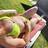 Femke