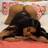 Paty