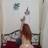 Eveline