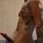 HUGO TOYBOY