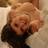 l\'Amazonia