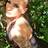 Kink Ink