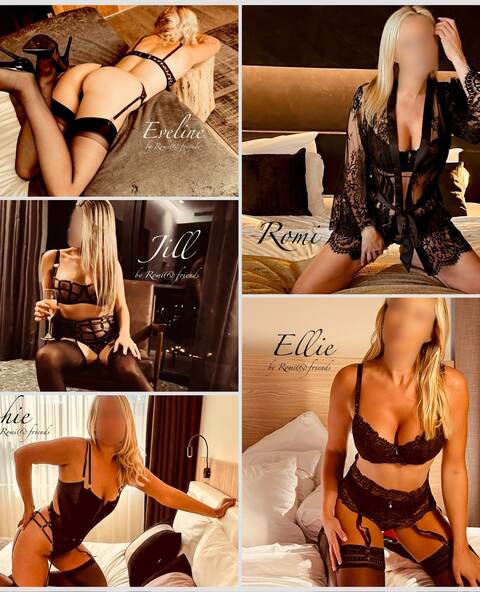 Collega’s gezocht !!