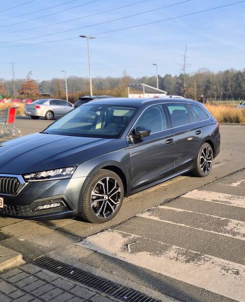 Airport/escort chauffeur/taxi carlos