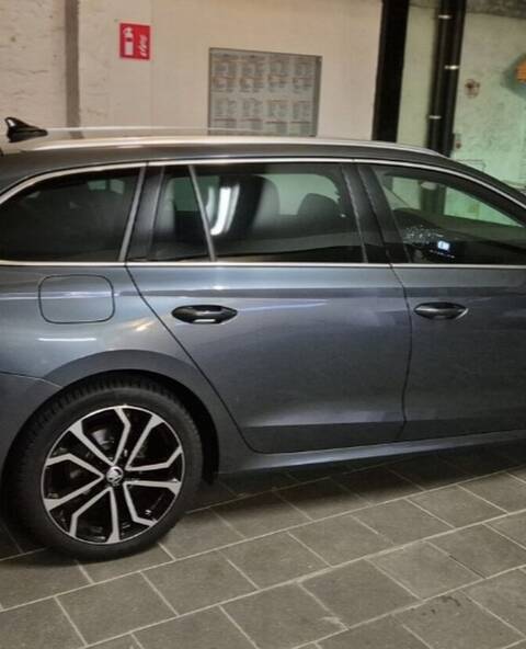 Benelux chauffeur Carlos