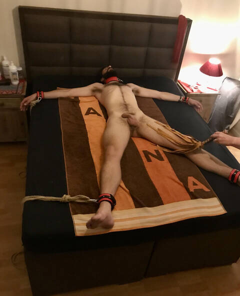 Dirk bi