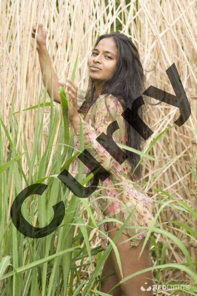 Curry 100 % NED_M_Vr & Koppels