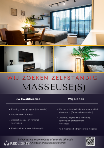 TE HUUR LUXE APPARTEMENT WAASLAND