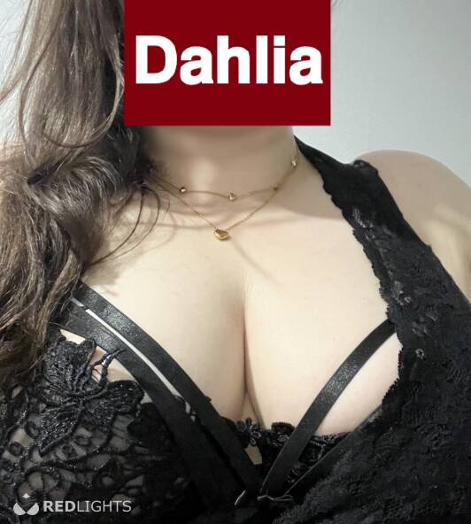 Dahlia