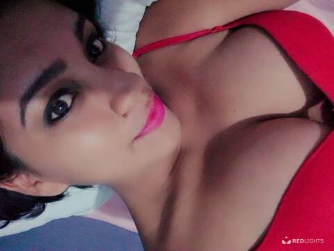 Paola TRANS