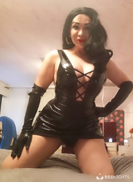 Priv&eacute; ontvangst Cintia Trans