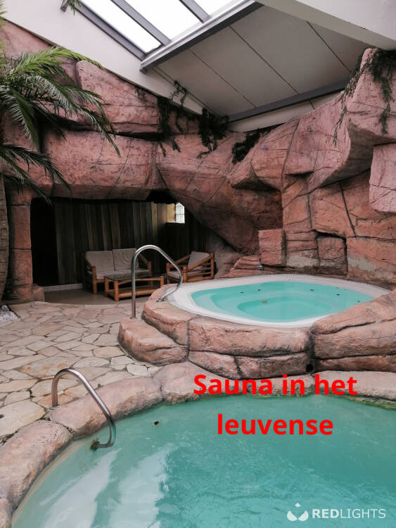 Swingers Gert
