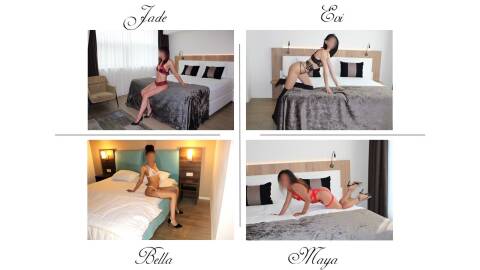 Escort Elena Companions
