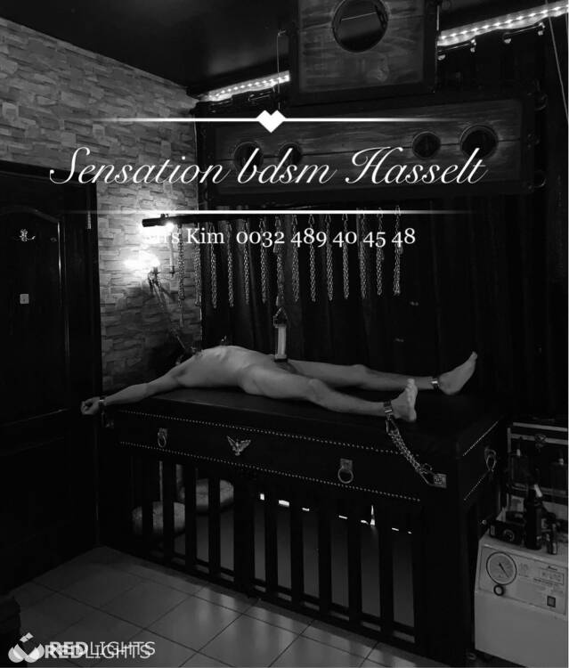 Privé ontvangst SENSATION BDSM Hasselt