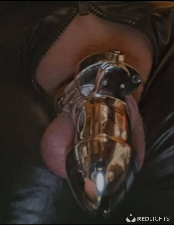 Swingers Creampie-likker