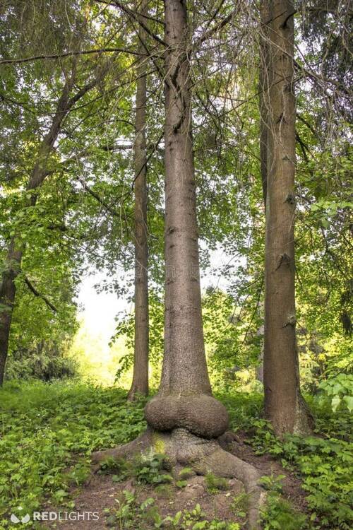 Swingers Kzoek dikke tieten