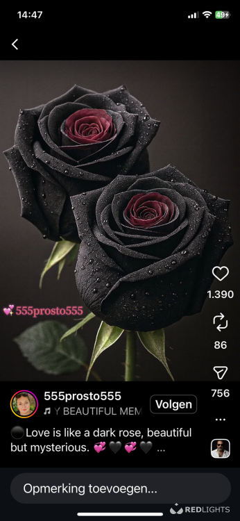 Swingers Jean de Gand