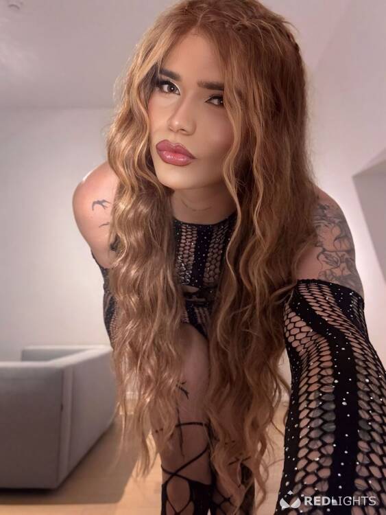 Privé ontvangst Sofía