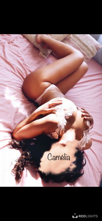 Privé ontvangst Camélia