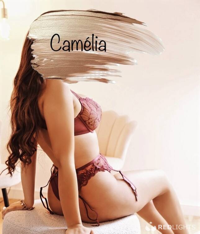 Privé ontvangst Camélia