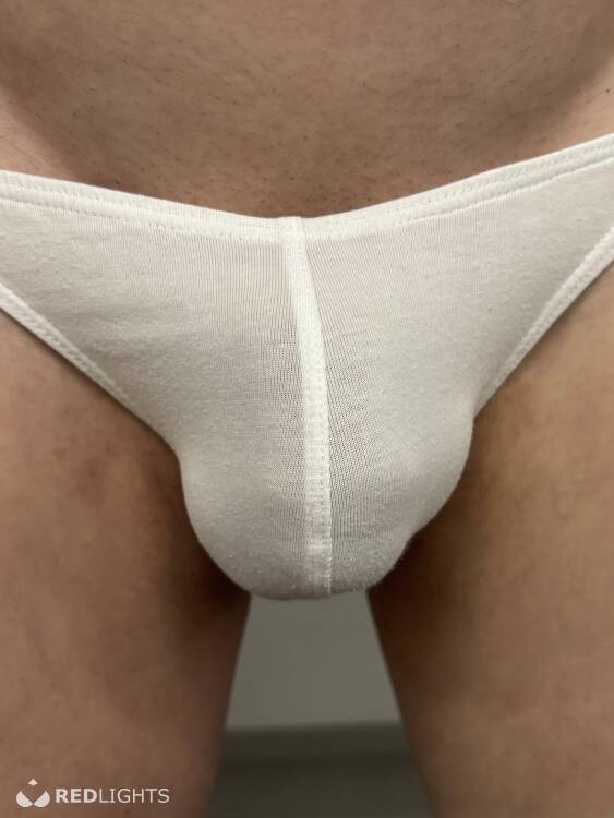 Swingers Grijzekater