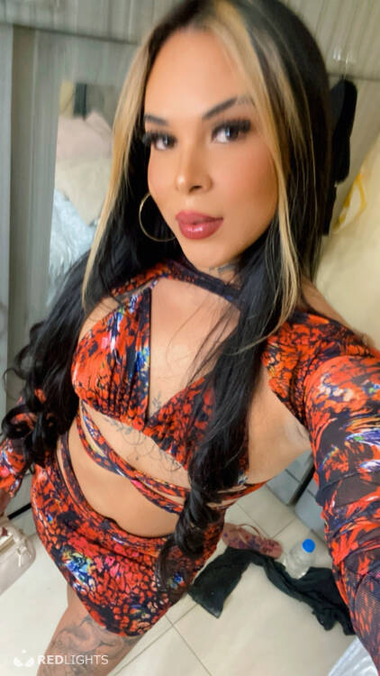 Priv&eacute; ontvangst Bryaniz