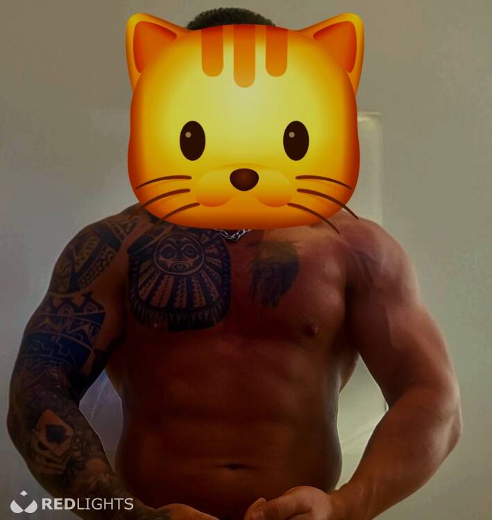 Priv&eacute; ontvangst Lion men