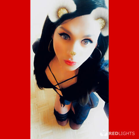 Privé ontvangst Versace XXL