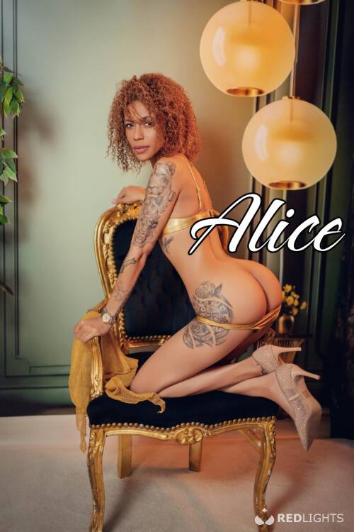 Privé ontvangst Casa brugge