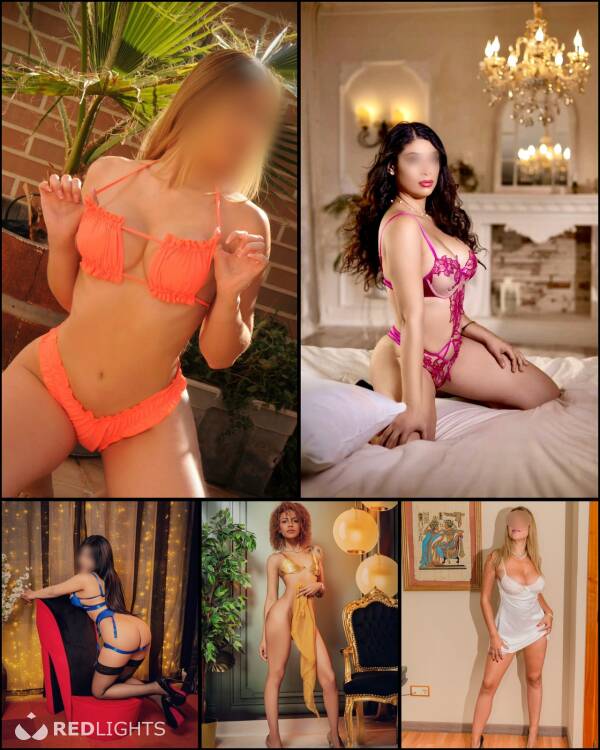 Priv&eacute; ontvangst L\'Amazonia