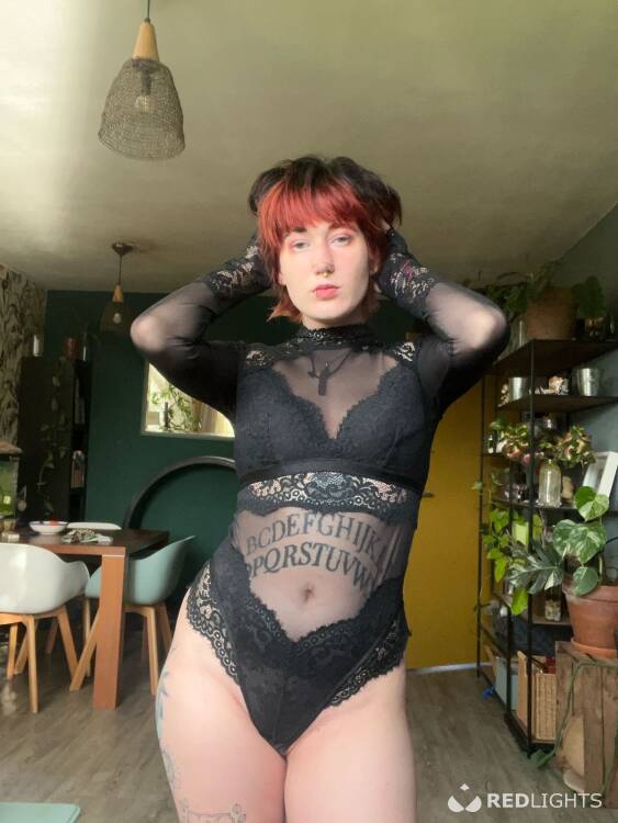 Privé ontvangst Niffy