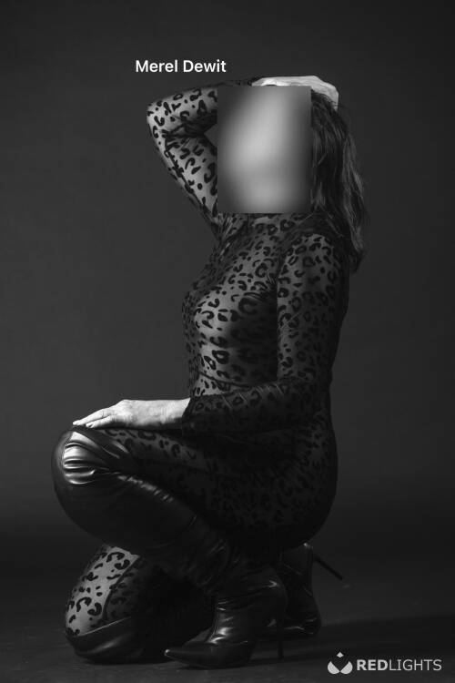 Escort MEREL DEWIT