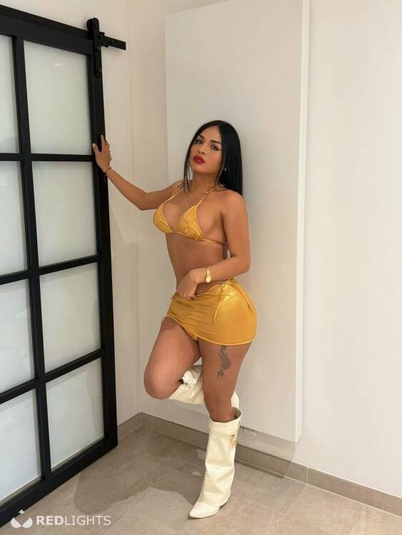 Priv&eacute; ontvangst EMMY TS