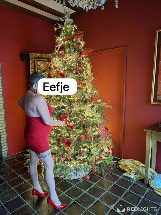 Priv&eacute; ontvangst EEFJE