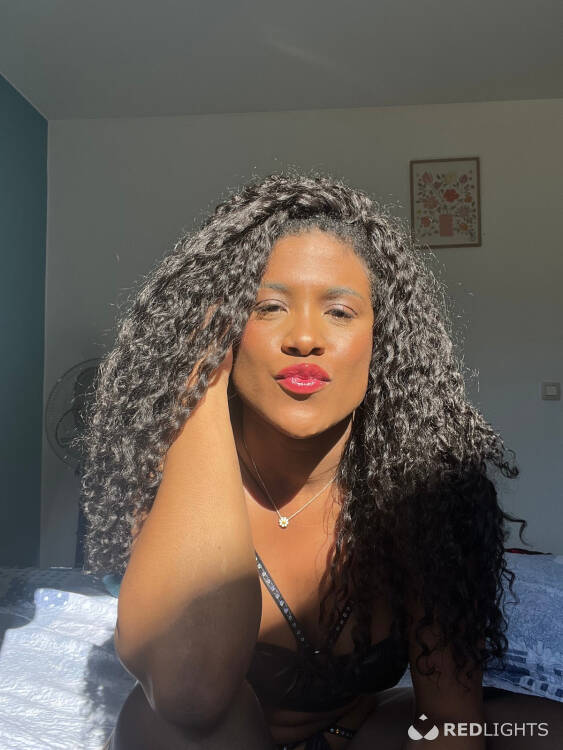 Priv&eacute; ontvangst Safire