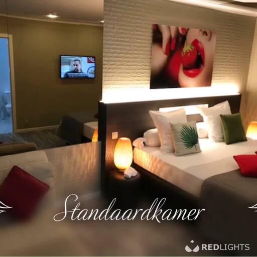 Carnac Kamerverhuur (Foto)