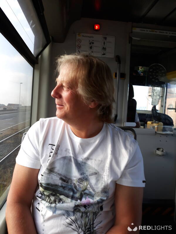 Willi (Foto)