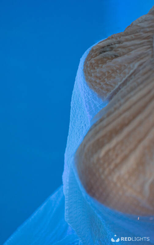 Britt (Foto)