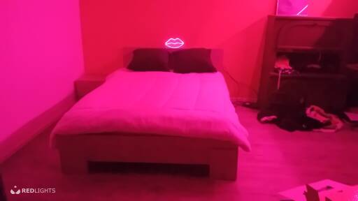 Bleu white house (Foto)