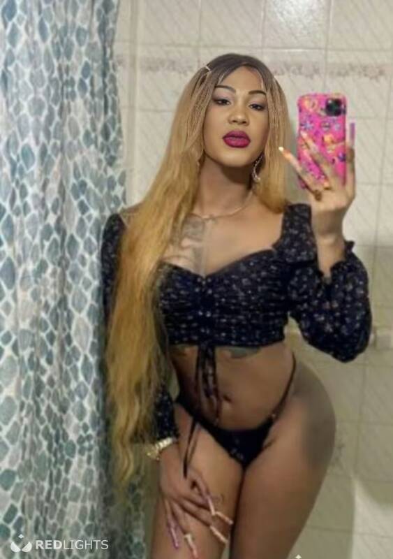 TRANS  HOT (Foto)