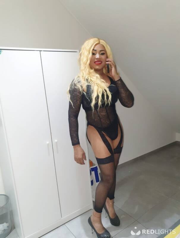 TRANS HOT (Foto)