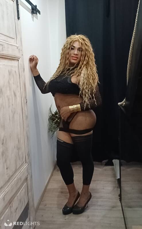 TRANS  STELLA (Foto)