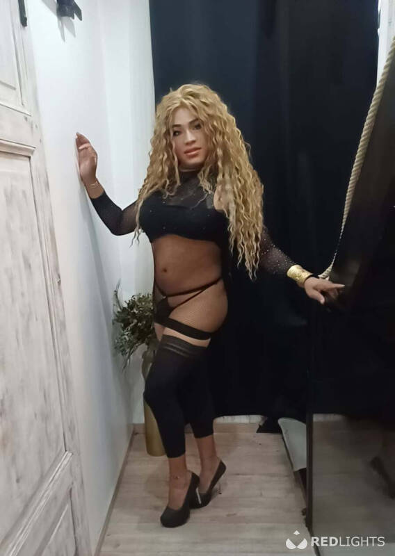 TRANS  STELLA (Foto)